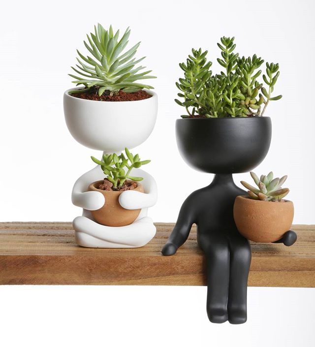 Such a cute potted …